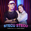 Stecu Stecu (feat. Faris Adam) - Dara Ayu
