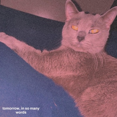 tomorrow, in so many words