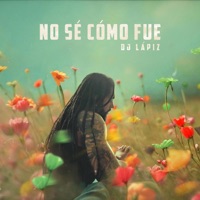 No se como fue - Single - DJ Lapiz