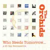 The Orchids