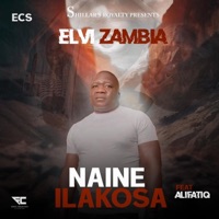 Naine ilakosa (feat. Alifatiq) - Single - Elvi Zambia