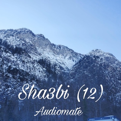 Audiomate - Sha3bi (12)