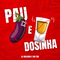 Pau e Dosinha - Single - Dj Malukas & MC Fini