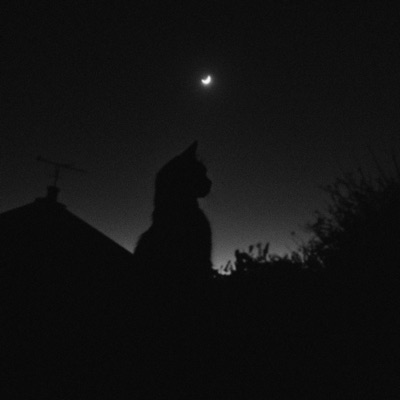 the night we met (Slowed) - Single