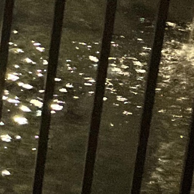 squeeze his tongue - Single