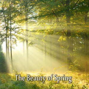 The Beauty of Spring