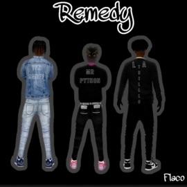 Remedy (Radio Edit) Mr Python