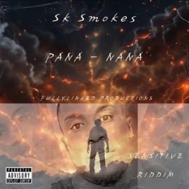 Pana Nana DJ TWIGS FULLYLINKED