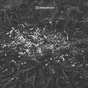 Cremate - Single