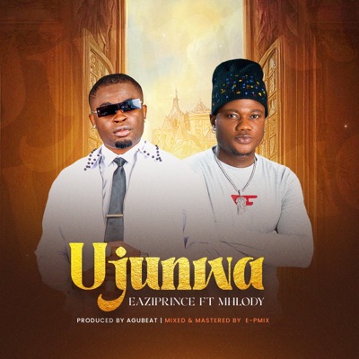 Ujunwa (feat. MHLODY) - Single
