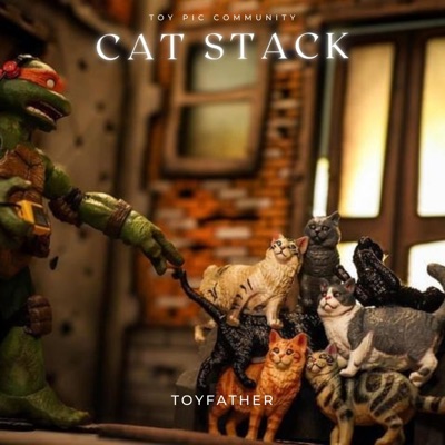 Cat Stack - Single