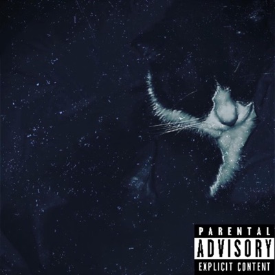 Not my problem (feat. Titan Kelley) - Single