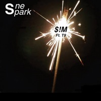 One spark (feat. T9) - Single - $!M