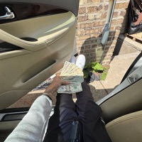 Switches - Single - Binary