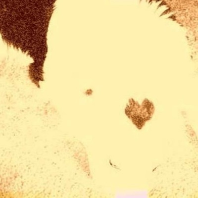 Dawgs - Single