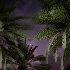 Talk to You VOLT VISION, Mentalmane & LOSTVPE