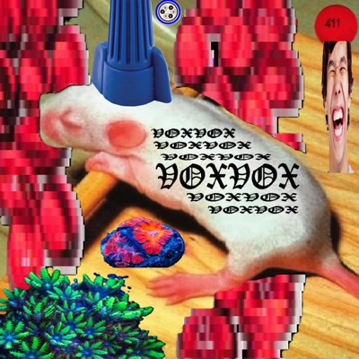 VOXVOX - EP