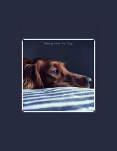 Sounds Dogs Loveを聴いたり、ミュージックビデオを鑑賞したり、経歴やツアー日程などを確認したりしましょう！