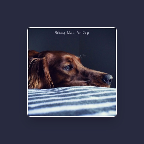 Sounds Dogs Love's avatar