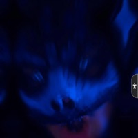 The Devils Road - Single - Cazp3r