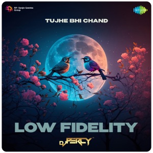 Tujhe Bhi Chand (Low Fidelity)