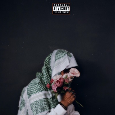 3m1ns of your Time (feat. Ocular Sloth & V&V) - Single