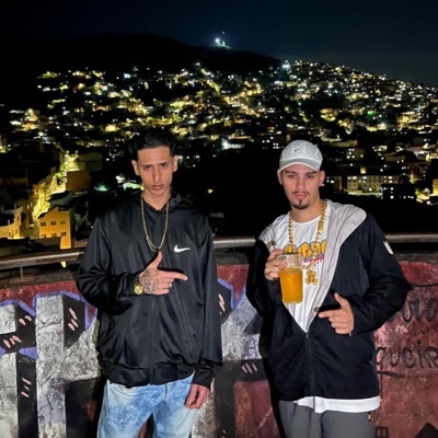 ELA PEDIU PRA MACHUCAR (feat. dj crash do bg) - Single