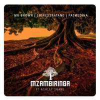 Mzambiringa (feat. Ashley Shane) - Single - Mr Brown, LionessRatang & Pat medina