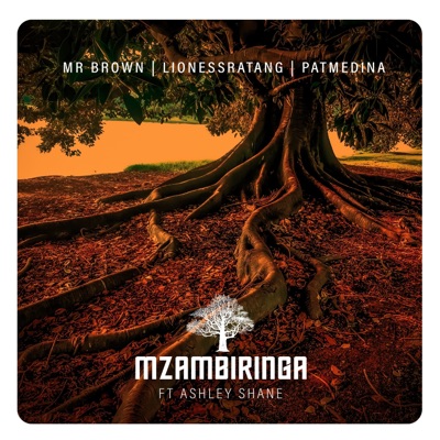 Mzambiringa (feat. Ashley Shane) - Single