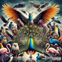 A LOT (feat. Flap PeaCock) - Single - Stain Lick Records