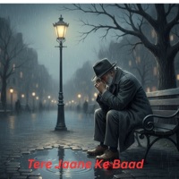 Tere Jaane Ke Baad (Reprise) - Single - Ashish