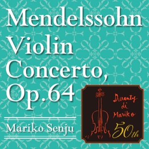 Violin Concerto in E Minor, Op. 64: I. Allegro molto appassionato