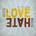 Big Little Lions