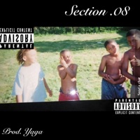 Section .08 - Single - PGotemm