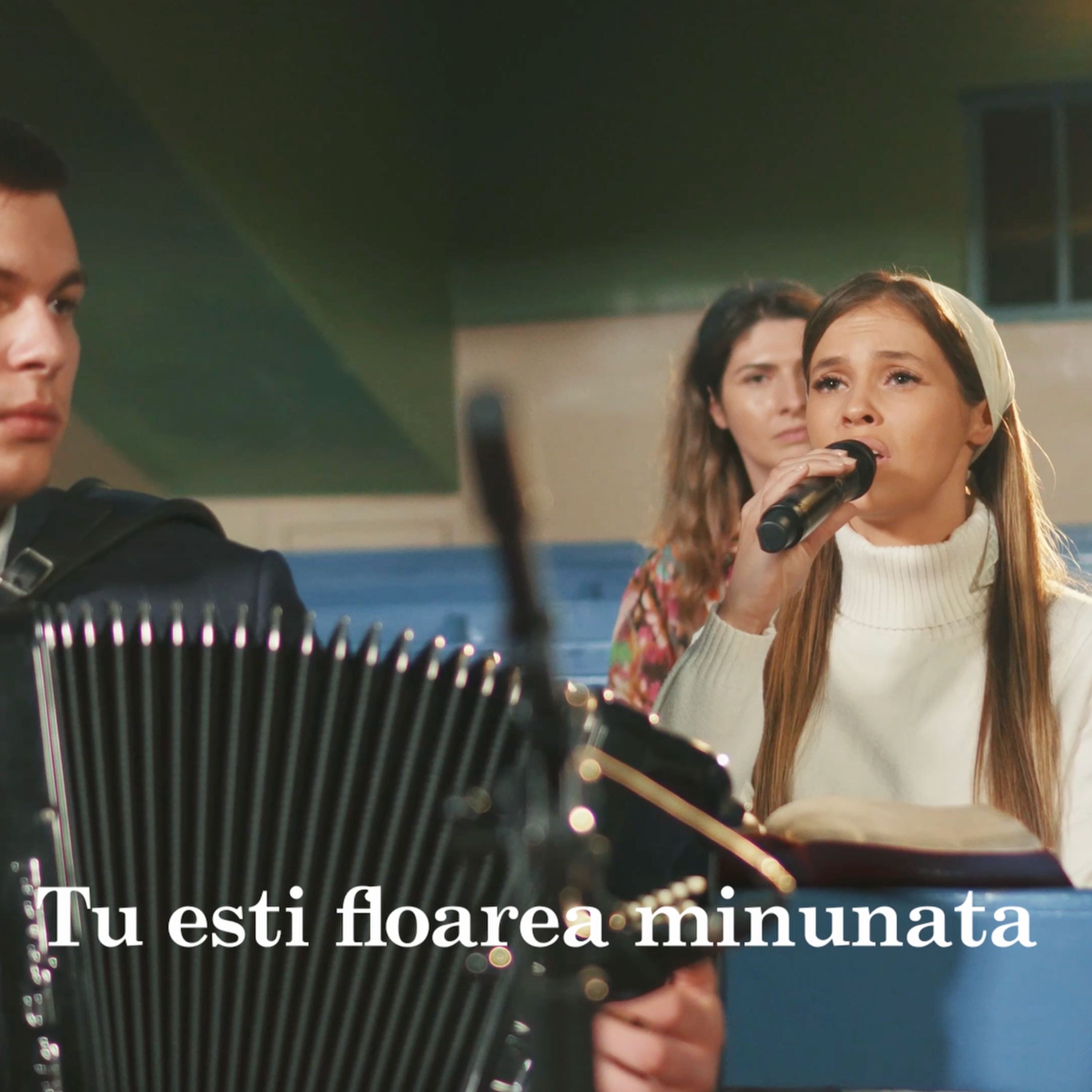 Gabriel Gorcea si Prietenii