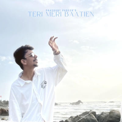 Teri Meri Baatien - Single