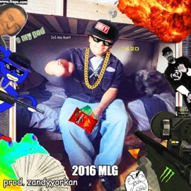 2016 MLG zandyyorkan