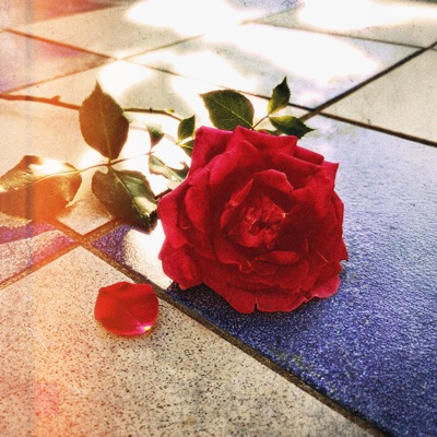 Sauve toi, mon cœur - Single