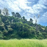 Every Shade of Green - Single - Carey Clayton