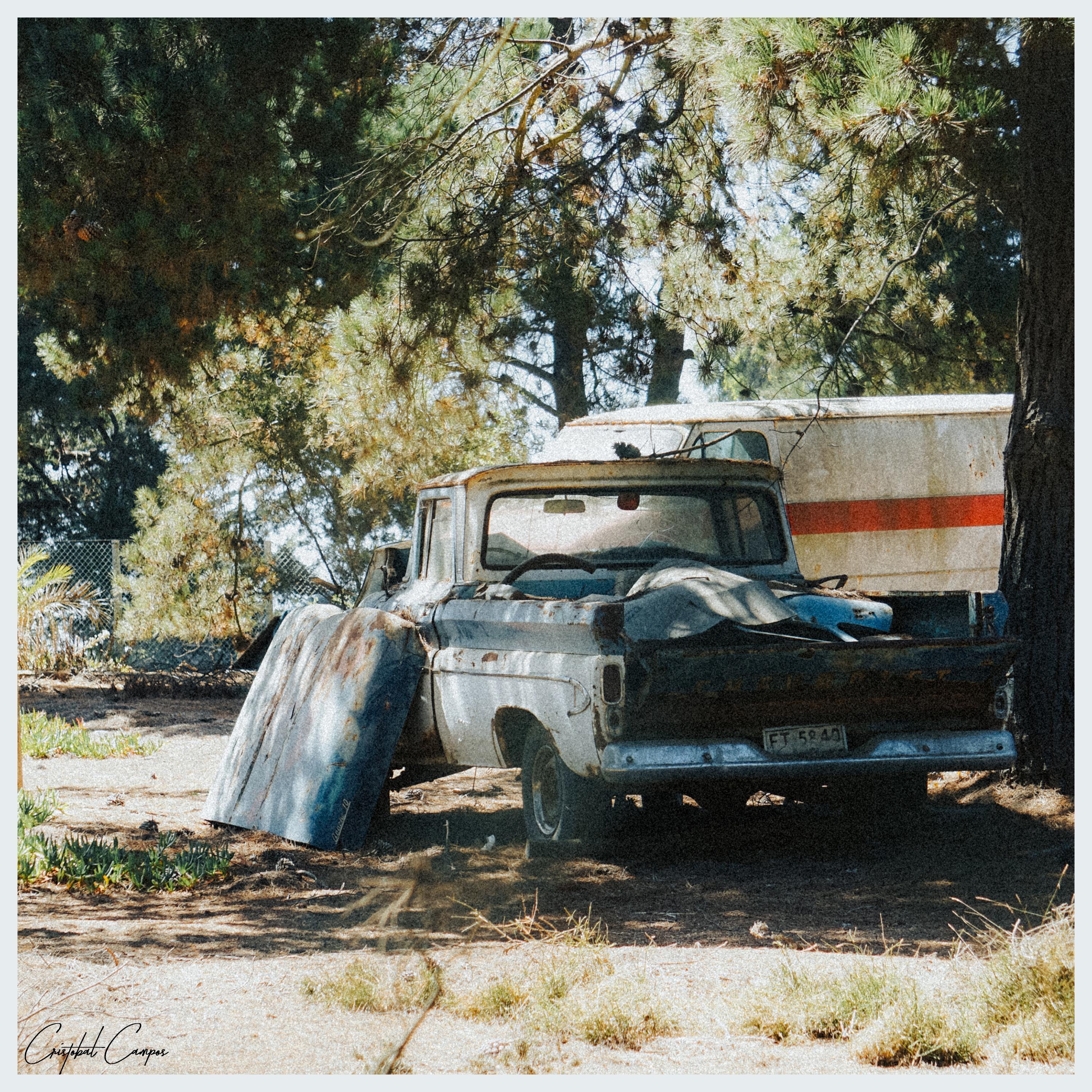 ¿Dónde Están? - Single