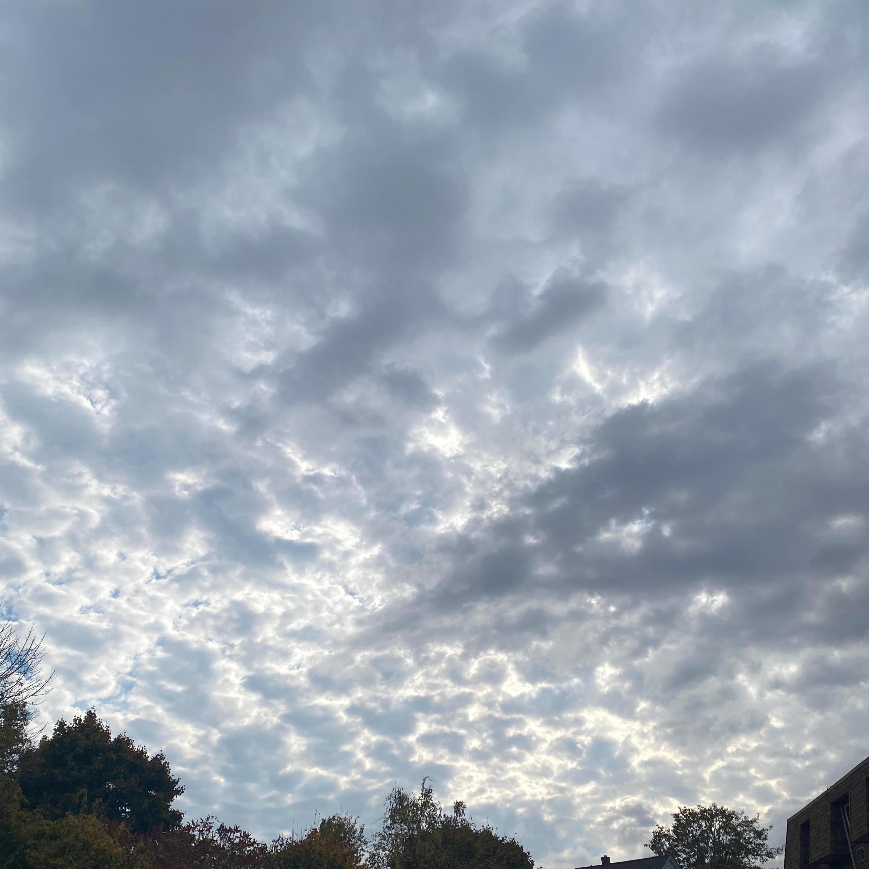 Voices are The Noise