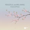 Suite for Jazz Orchestra No. 2, Op. 50b: No. 2, Waltz