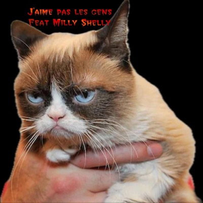 J’AIME PAS LES GENS (feat. Milly Shelly & Maté Beats) - Single