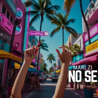 No Se - Single - Mari Zi