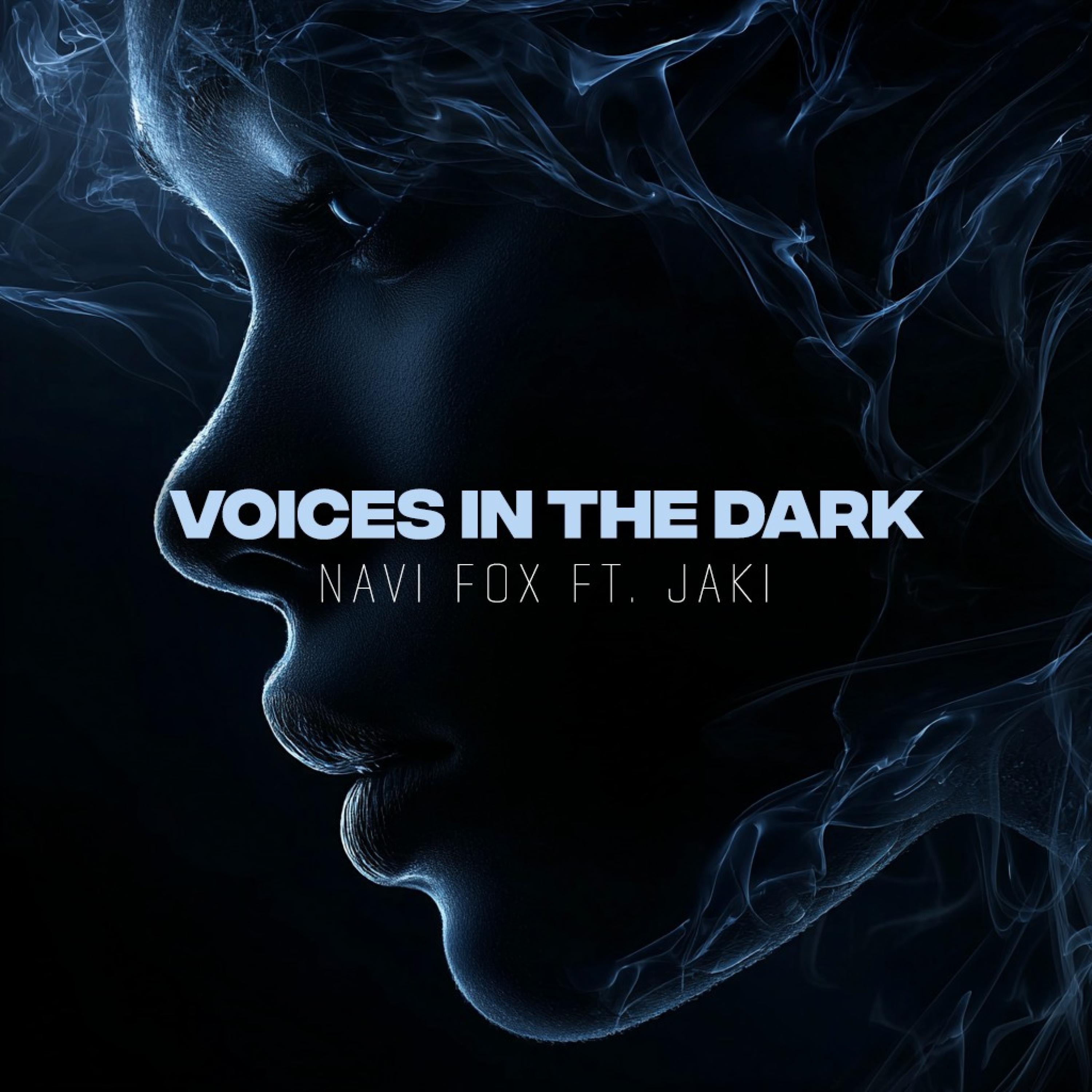 Voices In The Dark (feat. Jaki) - Single