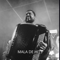 Caju Sanfoneiro - Single - Mala de Hits