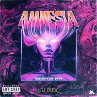 Amnesia 2026 - Single - Carefree & Pisani