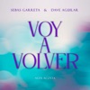 Voy A Volver - Single