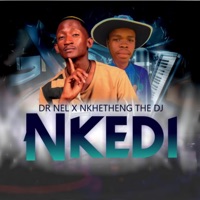 Nkedi (feat. Nkgetheng the Dj) - Single - Dr Nel