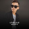 Lý Do Là Gì (ZZ Remix) - Single